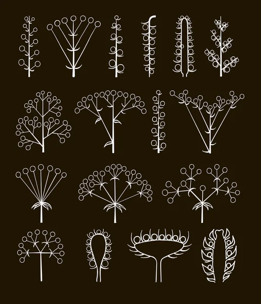 Conjunto de vectores diferentes tipos de inflorescencia, esquema científico de la flor en el tallo, botánica . — Archivo Imágenes Vectoriales