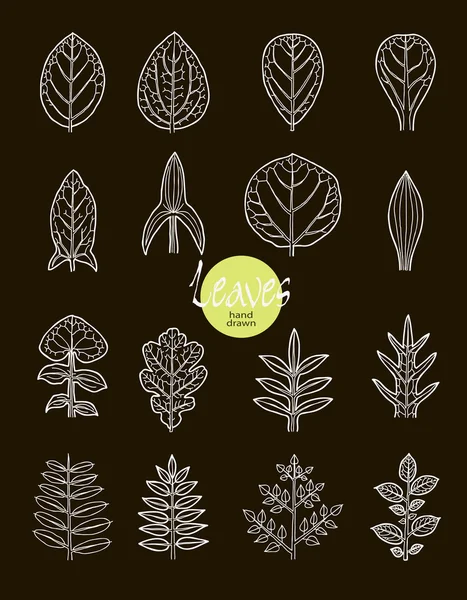 Vector collection of varieties of leaf shape. — Stock Vector