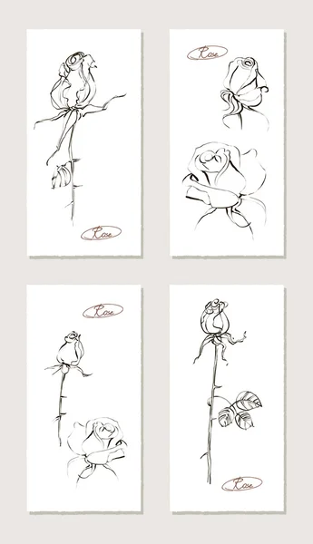 Set floreale schizzo. Illustrazioni disegnate a mano di rose. Illustrazione vettoriale . — Vettoriale Stock