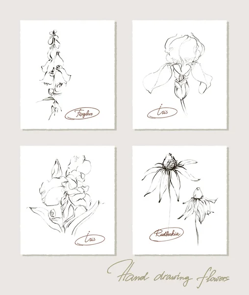 Colección de flores de bocetos realistas de flores en las tarjetas. Ilustración vectorial . — Vector de stock