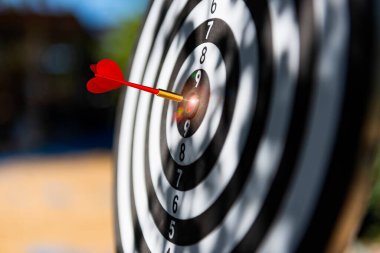 Hedefe bağlı fotoğraf dartları, hedef pazarlama ya da iş dünyasının dışında iş dünyasının başarılı olabilmesi için itici gücün bir hedefi olmalı..