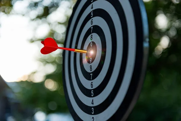 Photo darts that stick to the target, Concept to target marketing or in the way business, The businesses must have a goal the driving force, In order to succeed.