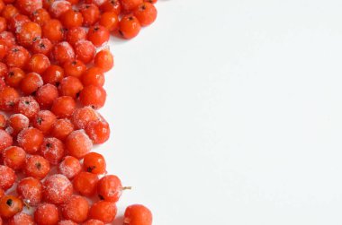 Donmuş böğürtlen bir buz tabakasıyla kaplı.