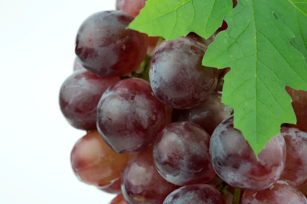 Red grape isolated on white background — Stock Photo, Image