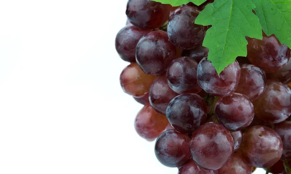 Rote Trauben isoliert auf weißem Hintergrund — Stockfoto