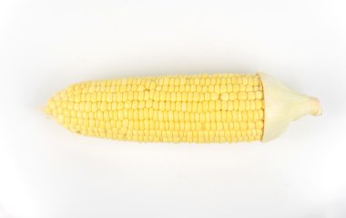 Beyaz arkaplanda izole edilmiş mısır