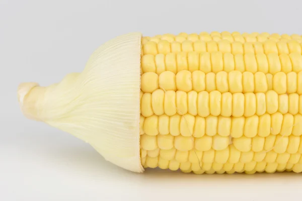 Zbliżenie kukurydziany na białym tle na białym tle — Zdjęcie stockowe
