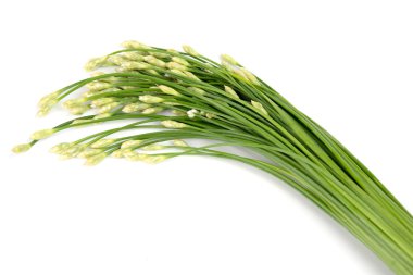 Tayland Kuicheai sebze yaprakları