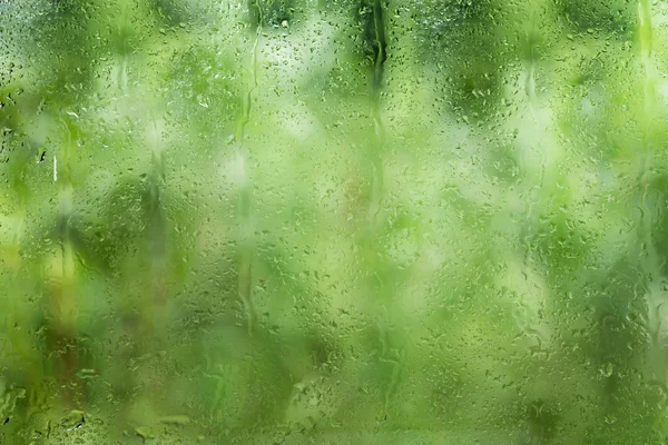 Rain in glass — Stock Photo, Image