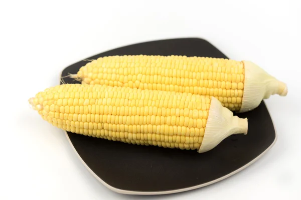 Corn isolated on a white background — Stock Photo, Image