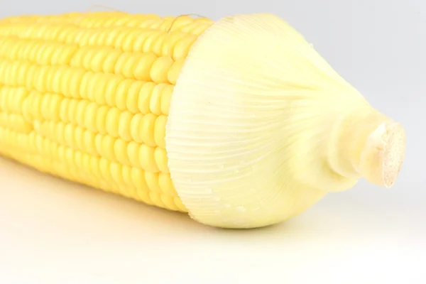Vértes kukorica elszigetelt fehér background — Stock Fotó