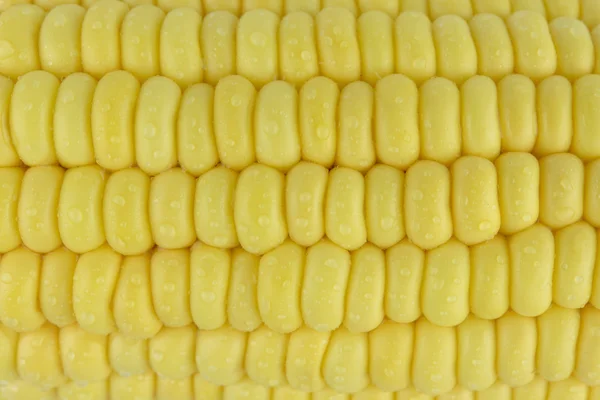Крупним планом Свіжий кукурудзяний фон — стокове фото