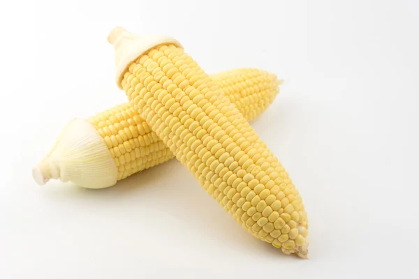 Corn isolated on a white background — Stock Photo, Image