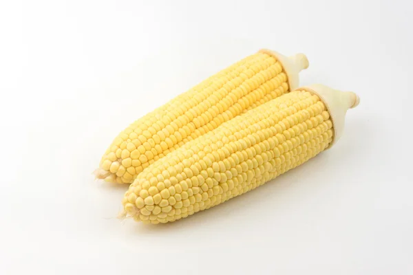 Кукурудза ізольована на білому тлі — стокове фото