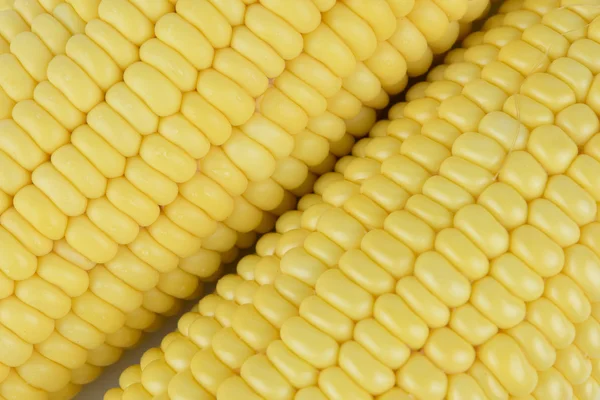 Closeup Fresh Corn background — Stock Photo, Image