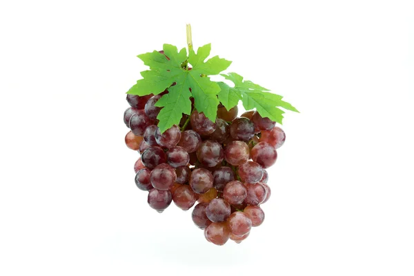 Vörös szőlő izolált fehér — Stock Fotó