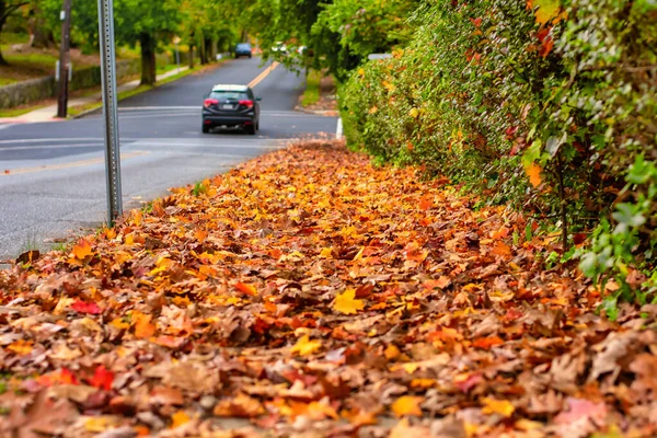 Uma Calçada Uma Cidade Suburbana Coberta Folhas Outono Com Carro — Fotografia de Stock