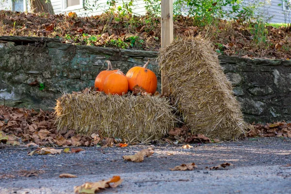 Tahta bir direğin önündeki Hay Bale 'de Üç Parlak Turuncu Balkabağı