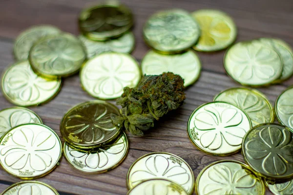Coloratissimo Pepita Cannabis Circondato Mucchio Monete Oro Del Giorno San — Foto Stock