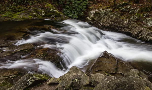 Vägkanten vattenfall i Great Smoky Mountains — Stockfoto