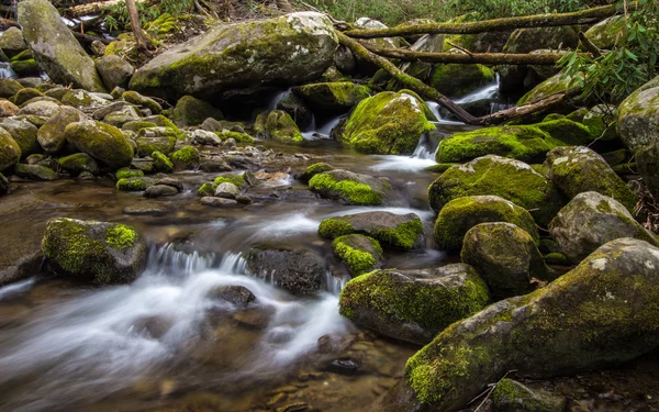 Great Smoky Mountain Stream — Stockfoto