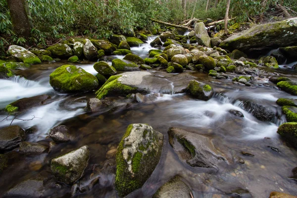 River On The Roaring Fork — Stock Photo, Image