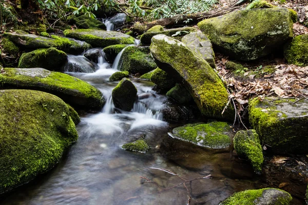 Rivière Sur La Fourche rugissante Sentier de la nature — Photo