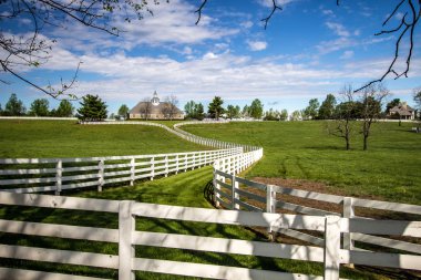 Lexington Kentucky Donamire çiftlikleri