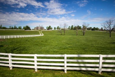 Lexington Kentucky Donamire çiftlikleri