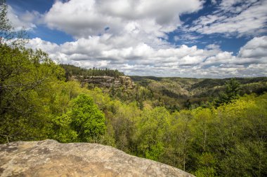 Aşık sıçrama Kentucky