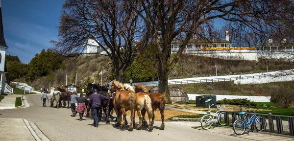 Draft Horses Return To Mackinaw Island