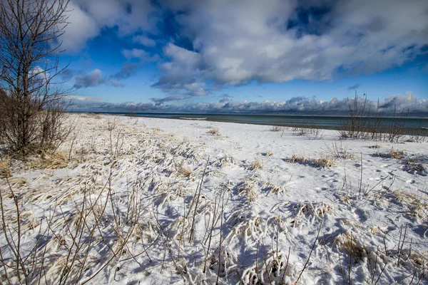 Michigan paesaggio invernale spiaggia o sfondo — Foto Stock