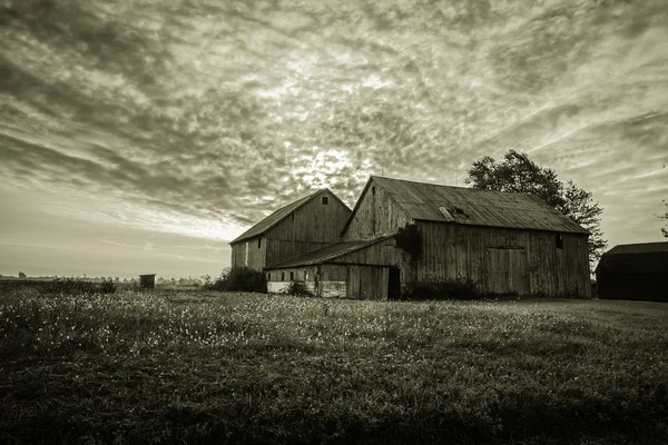 Vintage Farm Landscape — Stock Photo, Image