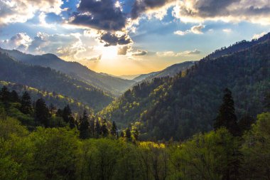 Gatlinburg, Tennessee 'deki Great Smoky Dağları Ulusal Parkı' nda güzel bir orman manzarasının üzerinde gün doğumu. 