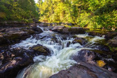Michigan Üst Yarımadası Şelale Manzarası. Silver Falls, Michigan, Baraga County 'deki birkaç şelaleden biridir..