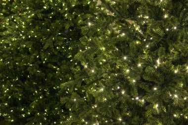 Beyaz LED ışıkları olan bir sıra yapay Noel ağacı..