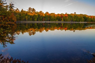 Sonbahar renkleri Michigan 'daki Ludington Eyalet Parkı' ndaki sahil yolu boyunca Kayıp Göl 'ün sularına yansıyor..