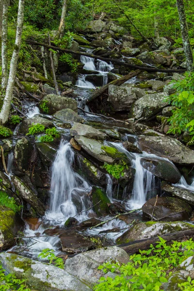 Stora Smoky Mountain Vattenfall Landskap Vertikal Riktning — Stockfoto