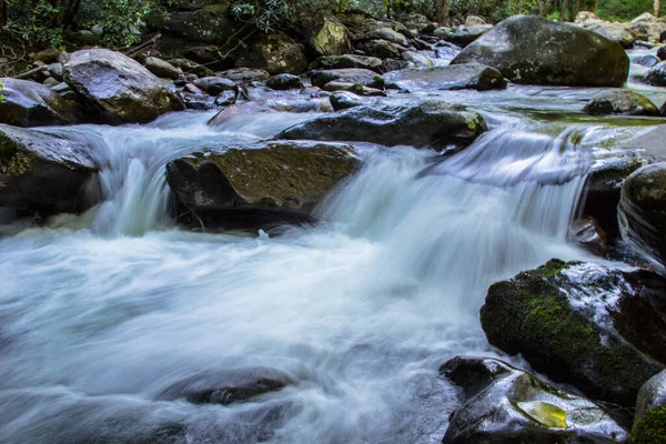 Smoky Mountain Stream Roaring Fork River Corre Através Parque Nacional — Fotografia de Stock