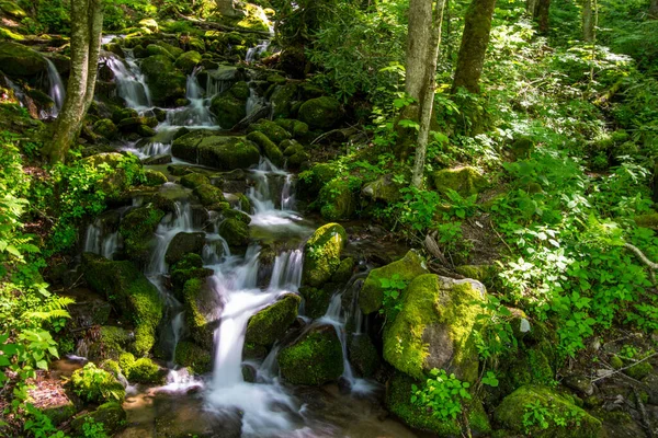 Smoky Mountain Spring Waterfall Landscape Spěchající Vodopád Svěží Zelení Velký — Stock fotografie