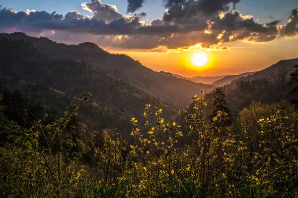 Grote Smoky Mountain Sunrise Zonsopkomst Smoky Mountains Bij Newfound Gap — Stockfoto