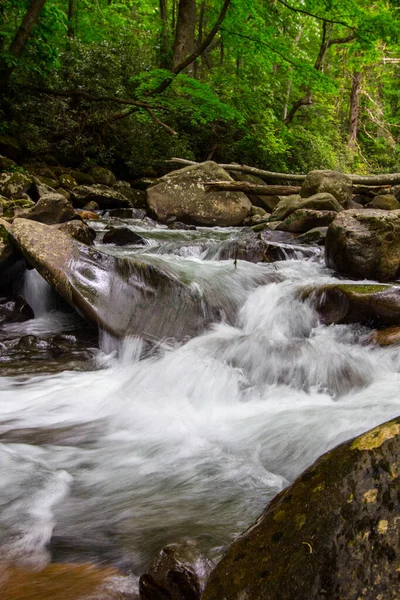 Stora Smoky Mountain Vattenfall Och Ström Vertikal Riktning — Stockfoto