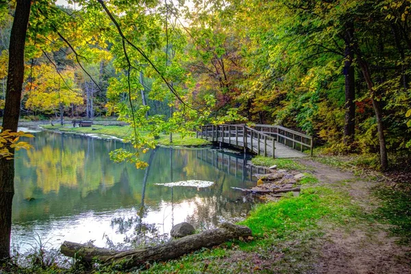 Schöne Waldszene Kleine Hölzerne Fußgängerbrücke Überquert Einen Kleinen See Inmitten — Stockfoto