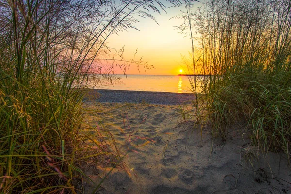 晨光湖景 在休伦湖畔的沙滩上 金光闪闪的日出之路被沙丘草环绕着 密歇根休伦港灯塔海滩 — 图库照片