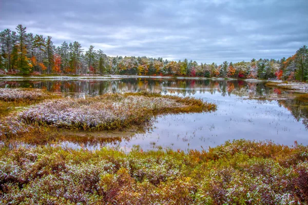 Michigan Autumn Landscape Première Neige Couleurs Automne Vibrantes Dans Petit — Photo