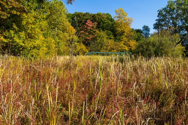 Najaar Wetlands Landschap Levendige Herfst Gebladerte Historische Bruggen Park Battle — Stockfoto