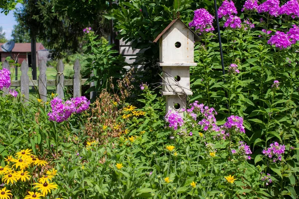 Pássaro Madeira Simples Jardim Verão Quintal Cercado Por Flox Roxo — Fotografia de Stock
