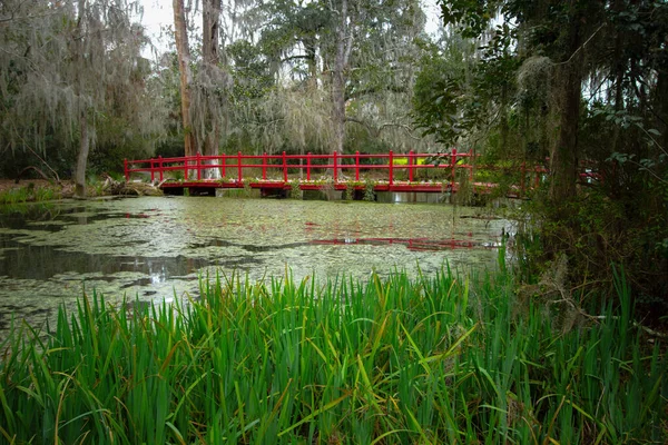 Red Wooden Footbridge Blackwater Swamp Low Country Charleston South Carolina — Stock Photo, Image