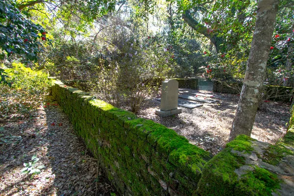 Charleston South Carolina Usa February 2021 Historical Cemetery Hampton Plantation — 스톡 사진
