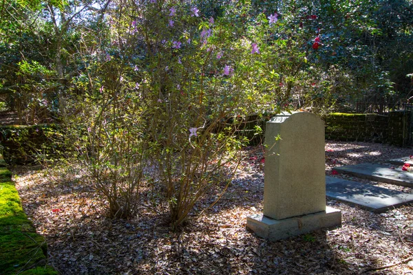 Charleston South Carolina Usa February 2021 Historical Cemetery Hampton Plantation — 스톡 사진